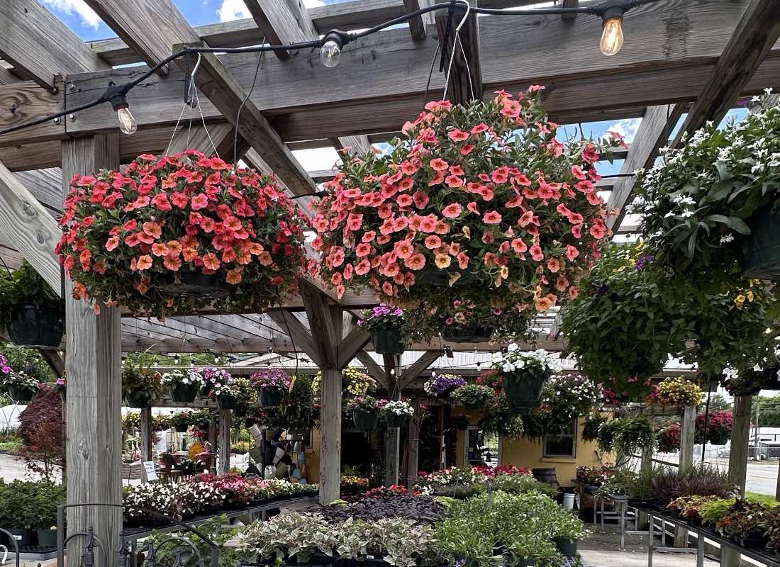 Superlawn & Garden Center garden center photo